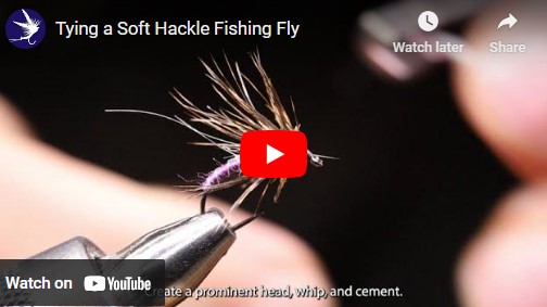 Tying a Purple Soft Hackle Fishing Fly